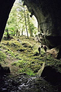 1  0080

Original size:&nbsp;1,024 x 1,536; 247 kB
Filename: 1_0080.jpg