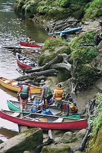 day5-020_09A_0040_mangawaiiti.jpeg: 1024x1536, 504k (2007 Jan 29 13:56)