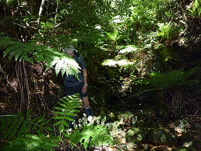 2010-01-01 11.52.28 P1000576 Simon.jpeg: 4000x3000, 7120k (2010 Jan 01 11:52)