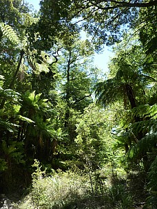 2010-01-01 12.19.37 P1000578 Simon.jpeg: 3000x4000, 6634k (2010 Jan 04 20:43)