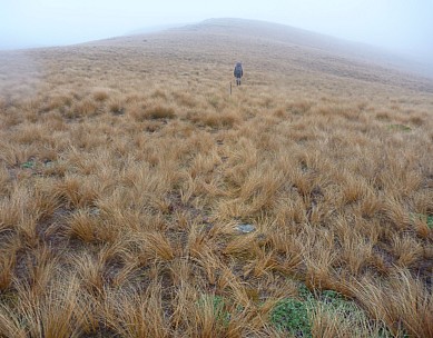 2010-04-24 16.37.05 P1010265 Simon cropped.jpg: 3840x3000, 1237k (2010 Apr 25 21:56)