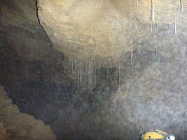 2011-01-25 13.16.24 P1020022 Simon In Stream resurgence.jpeg: 4000x3000, 4840k (2011 Jan 25 13:16)