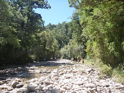 In Ryan Creek
Photographer;&nbsp;Simon
2011-01-26&nbsp;12.33.11;&nbsp;Metadata time: '2011 Jan 26 12:33'
Original size:&nbsp;4,000 x 3,000; 7,158 kB
Filename: 2011-01-26 12.33.11 P1020035 Simon In Ryan Creek.jpeg
