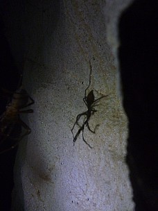 2011-01-28 13.49.52 P1020119 Simon.jpeg: 3000x4000, 3849k (2011 Jan 30 20:14)