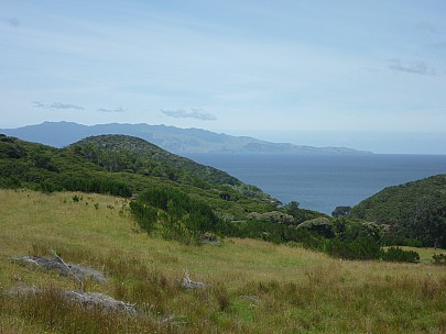 2013-01-02 10.42.16 P1040612 Simon - looking south to the Coromandel from Cape Barrier Road.jpeg: 4000x3000, 6304k (2013 Jan 02 10:42)