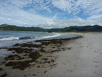 Medlands Beach
Photo: Simon
2012-12-28 17.13.27; '2012 Dec 28 17:13'
Original size: 4,000 x 3,000; 5,606 kB
2012-12-28 17.13.27 P1040473 Simon - Medlands Beach.jpeg