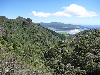 Palmers Track view to Whangapoua
Photo: Simon
2012-12-29 11.29.43; '2012 Dec 29 11:29'
Original size: 4,000 x 3,000; 6,959 kB
2012-12-29 11.29.43 P1040482 Simon - Palmers Track view to Whangapoua.jpeg