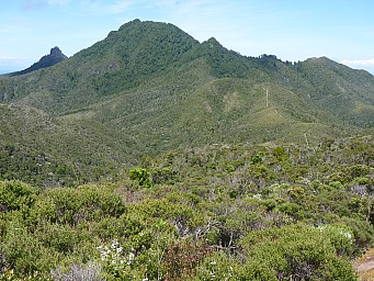 Palmers Track and Hirakimata
Photo: Simon
2012-12-29 11.41.21; '2012 Dec 29 11:41'
Original size: 4,000 x 3,000; 6,960 kB
2012-12-29 11.41.21 P1040488 Simon - Palmers Track and Hirakimata.jpeg