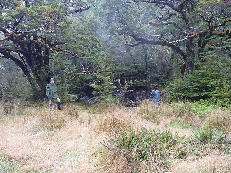 Hope Hot Springs in the trees
Photographer;&nbsp;Philip
2013-04-22&nbsp;09.13.13;&nbsp;Metadata time: '2013 Apr 22 09:13'
Original size:&nbsp;4,320 x 3,240; 5,559 kB
Filename: 2013-04-22 09.13.13 P1020047 Philip - Hope Hot Springs in the trees.jpeg