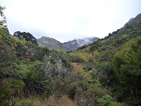 Looking at Hope Saddle
Photographer;&nbsp;Philip
2013-04-22&nbsp;11.26.18;&nbsp;Metadata time: '2013 Apr 22 11:26'
Original size:&nbsp;4,320 x 3,240; 5,877 kB
Filename: 2013-04-22 11.26.18 P1020056 Philip - Looking at Hope Saddle.jpeg