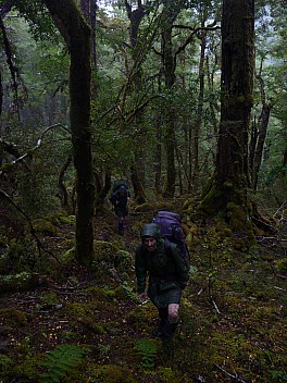 Climbing up
Photographer;&nbsp;Philip
2013-04-24&nbsp;12.42.08;&nbsp;Metadata time: '2013 Apr 24 12:42'
Original size:&nbsp;3,240 x 4,320; 4,925 kB
Filename: 2013-04-24 12.42.08 P1020109 Philip - Climbing up.jpeg