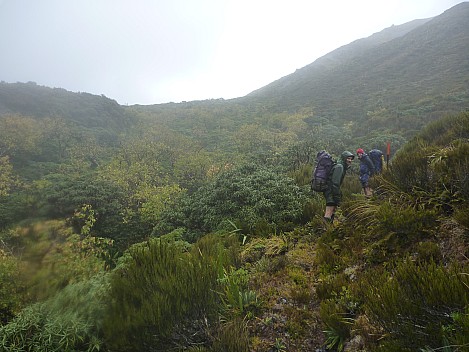 Out of the bush looking to Amuri Pass
Photo: Simon
2013-04-24 13.41.21; '2013 Apr 24 13:41'
Original size: 4,000 x 3,000; 6,233 kB
2013-04-24 13.41.21 P1050067 Simon - out of the bush looking to Amuri Pass.jpeg