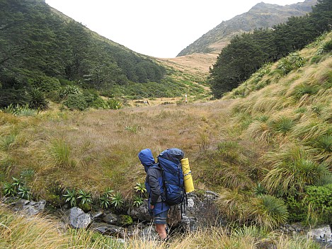 Looking back at Devilskin saddle
Photographer;&nbsp;Brian
2013-04-25&nbsp;14.59.23;&nbsp;Metadata time: '2013 Apr 25 14:59'
Original size:&nbsp;3,072 x 2,304; 2,707 kB
Filename: 2013-04-25 14.59.23 IMG_2908 Brian - looking back at Devilskin saddle.jpeg
