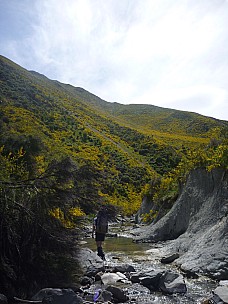 2013-11-15 14.23.24 P1050340 Simon  - Conway River shouwing route out.jpeg: 3000x4000, 5178k (2013 Nov 15 14:23)