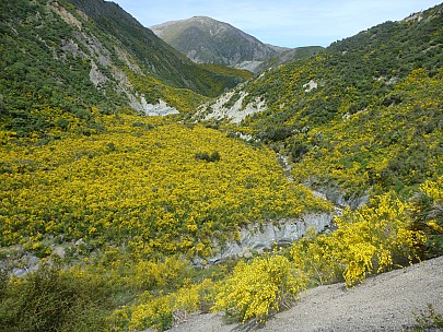 2013-11-15 14.43.26 P1050341 Simon - looking back to Conway River from slip.jpeg: 4000x3000, 7097k (2013 Nov 15 14:43)