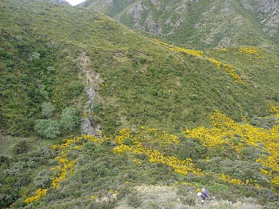 2013-11-15 16.29.34 P1050345 Simon - descending to campsite.jpeg: 4000x3000, 6697k (2013 Nov 15 16:29)