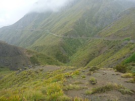 Seymour Stream and Driving Spur