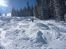 2014-01-28 13.19.45 P1000221 Simon - Jim in powdery moguls, Far East.jpeg: 4000x3000, 6812k (2014 Jan 29 09:19)