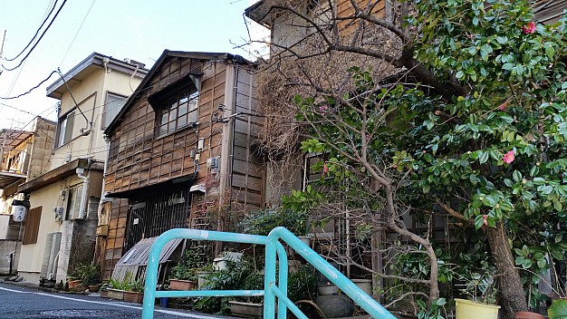 Minato hold out against development
Photographer;&nbsp;Jim
2015-02-19&nbsp;09.03.01;&nbsp;Metadata time: '2015 Feb 19 09:03'
Original size:&nbsp;5,312 x 2,988; 5,620 kB
Filename: 2015-02-19 09.03.01 Jim - Minato hold out against development.jpeg