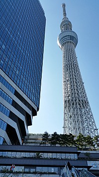 Skytree
Photographer;&nbsp;Jim
2015-02-19&nbsp;12.39.36;&nbsp;Metadata time: '2015 Feb 19 12:39'
Original size:&nbsp;2,976 x 5,312; 5,159 kB
Filename: 2015-02-19 12.39.36 Jim - Skytree.jpeg