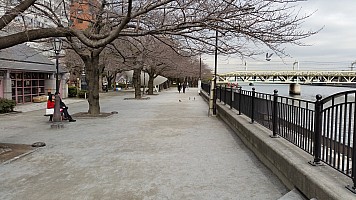 Tokyo - Asakusa Pier
Photographer;&nbsp;Jim
2015-02-07&nbsp;13.28.53;&nbsp;Metadata time: '2015 Feb 07 13:28'
Original size:&nbsp;5,312 x 2,988; 6,503 kB
Filename: 2015-02-07 13.28.53 Jim - Tokyo - Asakusa Pier.jpeg