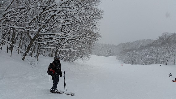 Iwatake - snowing on run down from Paradise Triple
Photographer;&nbsp;Jim
2015-02-10&nbsp;10.40.48;&nbsp;Metadata time: '2015 Feb 10 10:40'
Original size:&nbsp;5,312 x 2,988; 5,732 kB
Filename: 2015-02-10 10.40.48 Jim - Iwatake - snowing on run down from Paradise Triple.jpeg