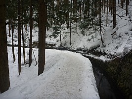 Path thru Japanese Firs to Snow Monkey Onsen
Photographer;&nbsp;Simon
2015-02-13&nbsp;10.28.38;&nbsp;Metadata time: '2015 Feb 13 10:28'
Original size:&nbsp;4,000 x 3,000; 5,774 kB
Filename: 2015-02-13 10.28.38 P1010489 Simon - path thru Japanese Firs to Snow Monkey Onsen.jpeg