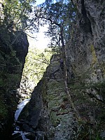 Southern South Branch Temple Stream