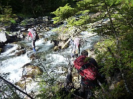 Southern South Branch Temple Stream