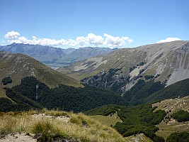 Maitland Stream