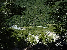 Maitland Stream