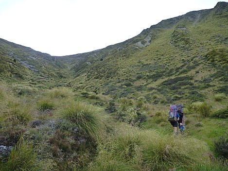 2016-01-07 14.31.44 P1040117 Philip - above the bush on the Dingleburn route.jpeg: 4320x3240, 5821k (2016 Jan 07 14:31)