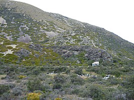 Ahuriri