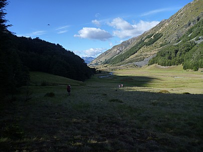 Heading down the slope from Top Dingle Hut
Photographer;&nbsp;Philip
2016-01-08&nbsp;08.50.41;&nbsp;Metadata time: '2016 Jan 08 08:50'
Original size:&nbsp;4,320 x 3,240; 5,545 kB
Filename: 2016-01-08 08.50.41 P1040136 Philip - heading down the slope from Top Dingle Hut.jpeg