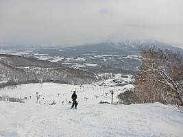 Skiing Hirafu