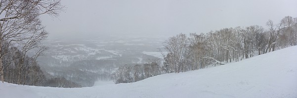 Skiing Niseko