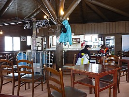 Skiing Niseko