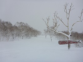 Skiing Niseko