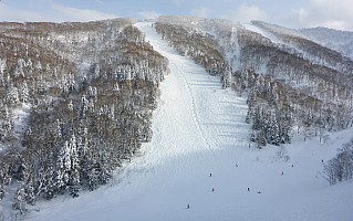 Skiing Rutsusu