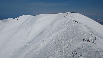 Skiing Niseko