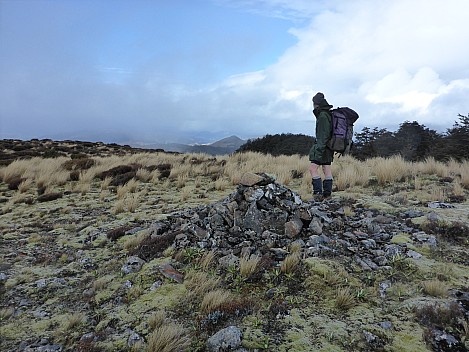 Brian on ridge looking north
Photographer;&nbsp;Simon
2016-10-29&nbsp;16.42.08;&nbsp;Metadata time: '2016 Oct 29 16:42'
Original size:&nbsp;4,608 x 3,456; 6,486 kB
Filename: 2016-10-29 16.42.08 P1010047 Simon - Brian on ridge looking north.jpeg