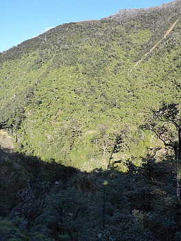 Dianes Hut from track
Photographer;&nbsp;Simon
2016-10-30&nbsp;08.22.07;&nbsp;Metadata time: '2016 Oct 30 08:22'
Original size:&nbsp;3,456 x 4,608; 5,557 kB
Filename: 2016-10-30 08.22.07 P1010057 Simon - Dianes Hut from track.jpeg
