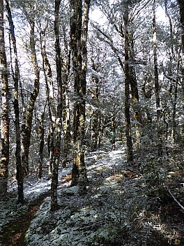 Snow On The Track
Photographer;&nbsp;Brian
2016-10-30&nbsp;09.51.17;&nbsp;Metadata time: '2016 Oct 30 09:51'
Original size:&nbsp;3,000 x 4,000; 4,142 kB
Filename: 2016-10-30 09.51.17 P1000562 Brian - snow on the track.jpeg
