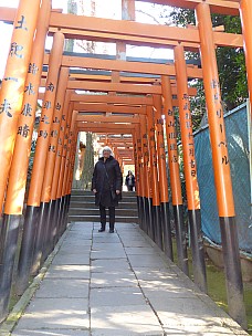 2017-01-11 13.18.56 P1010185 Simon - Anne on path from SShrines.jpeg: 3456x4608, 5175k (2017 Jan 26 19:13)