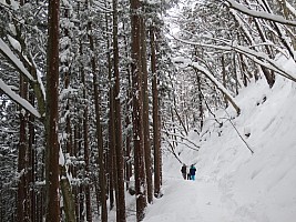 Nozawa Onsen, Jigokudani