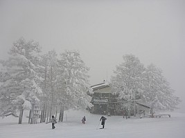 Nozawa Onsen