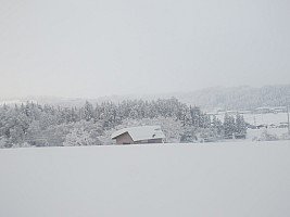 Nozawa Onsen, Kanazawa, Madarao