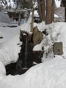 2017-01-19 15.26.39 IMG_8925 Anne - Spring at Kenmei-ji Shrine.jpeg: 3456x4608, 5322k (2017 Jan 26 18:36)