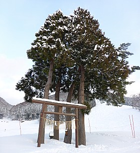 2017-01-19 16.23.43 Panorama Simon - Torii_stitch.jpeg: 4591x5010, 20475k (2017 Aug 03 22:00)