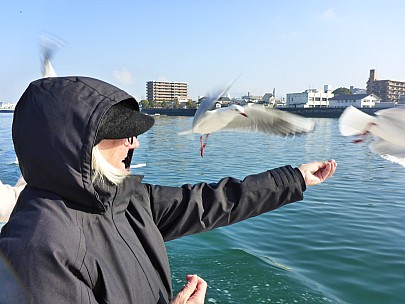 2017-01-21 10.22.36 P1010563 Simon - Anne feeding gulls.jpeg: 4608x3456, 5515k (2017 Jan 29 10:22)
